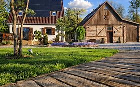 Apartamenty Komarno 46 Jacuzzi&Sauna